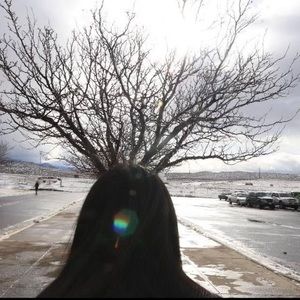 Meet your Posher, Avery